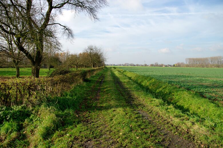 Straße-RH51 von An der Lohschule aus