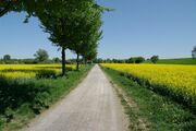 Strasse HS01 06.jpg