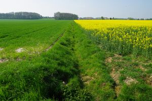 Bild Dienebach