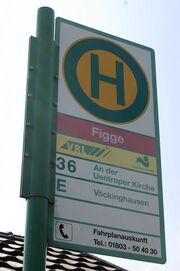 HSS Figge.jpg