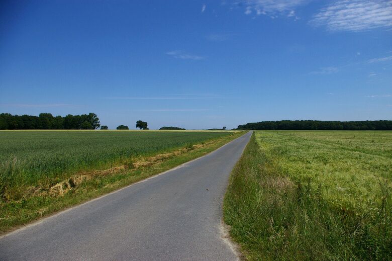 In der Sommerbree von der Schliekstraße aus