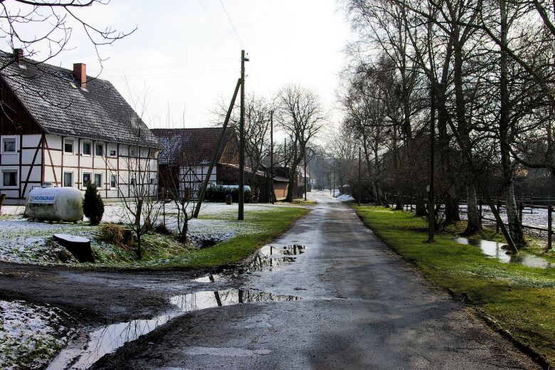Borgholz vom Vöckinghauser Weg aus