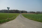 Strasse RH111 01.jpg