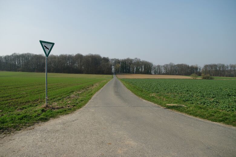 Straße-RH111 von der Straße-RH113 aus