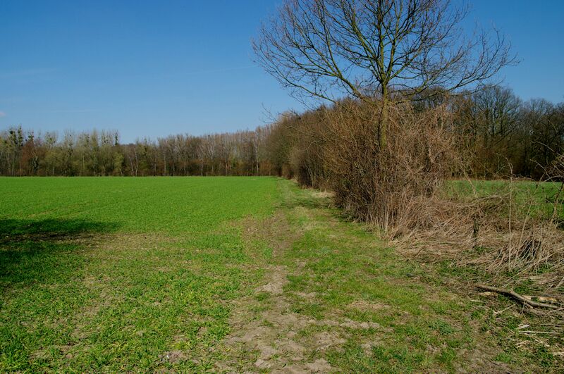 Datei:Strasse UE37 01.jpg