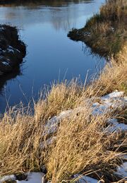 Lippeaue-12-2009 018.jpg