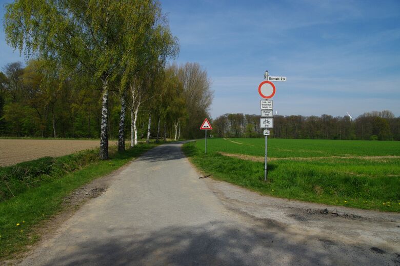 Bornstraße Richtung Heessener Wald