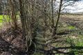 Der Mesenbach an der Mesenmark