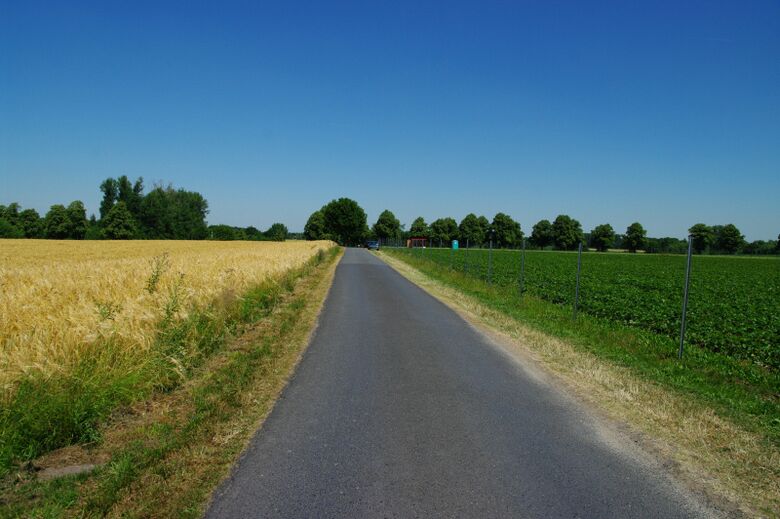 Fohlenweg Richtung Caldenhofer Weg