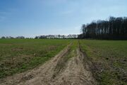 Strasse RH94 01.jpg