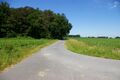 In der Sommerbree Ecke Nagelheide Richtung Schliekstraße