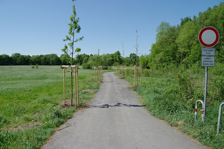Straße-UE01 südlicher Teil von der Soester Straße aus