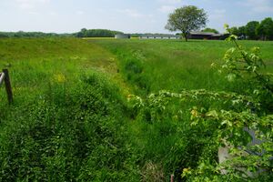 Bild Heidebach