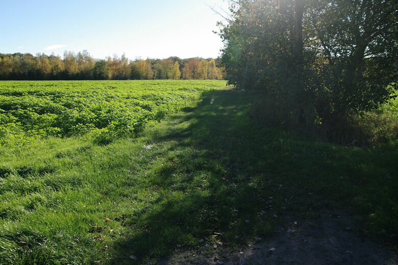 Straße-UE70