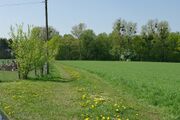 Strasse UE44 01.jpg