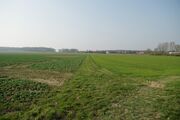 Strasse RH153 01.jpg