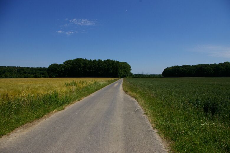 Im Barkerholz von der Barsener Straße aus