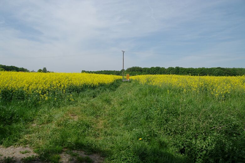 Straße-RH155 von der Straße-RH156 aus