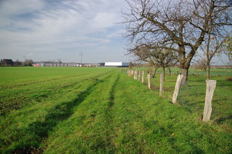 Straße-RH31 vom Südfeldweg aus