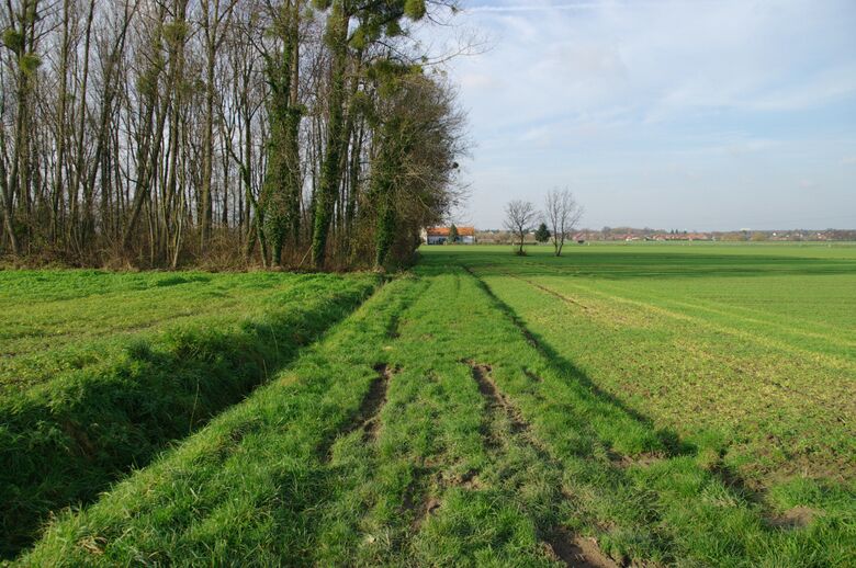 Straße-RH32 von der Straße-RH179 aus