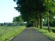 Kuhstrasse.jpg
