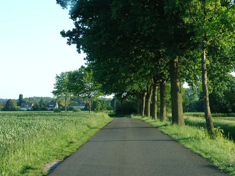 Kuhstraße vom Caldenhofer Weg aus