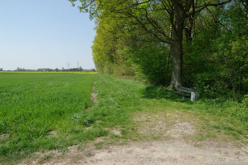 Datei:Strasse UE82 01.jpg