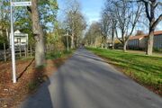 Adenauerallee05.jpg
