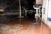 Wasserrohrbruch 20100221 38.jpg