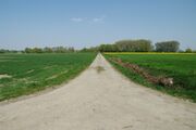 Strasse UE104 01.jpg