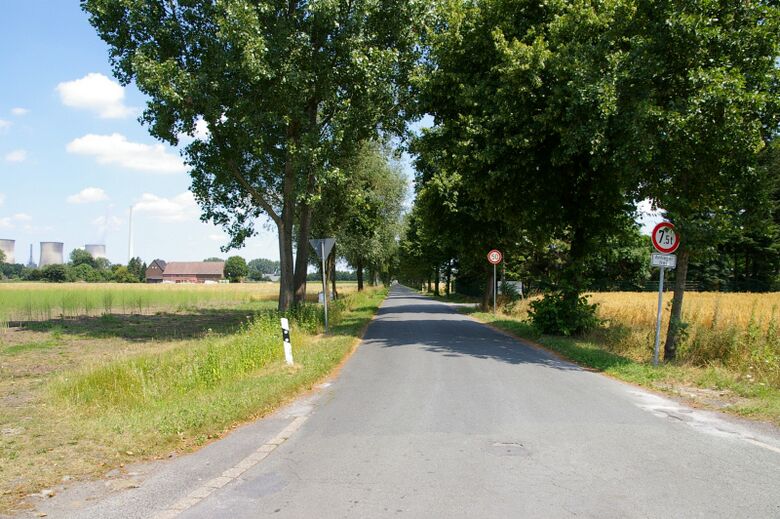 Herringer Heide von der Sandbochumer Straße aus