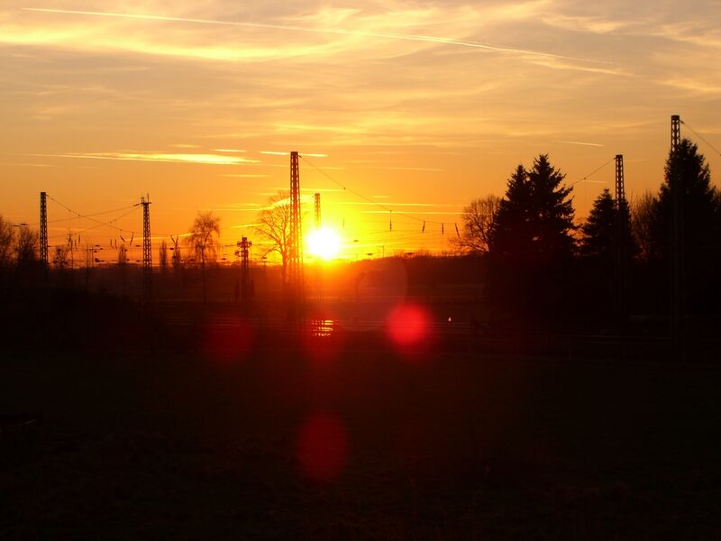 Datei:Selmigerheideweg heide.JPG