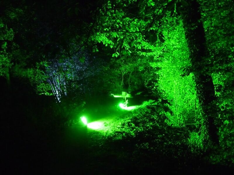 Datei:Herbstleuchten1009 046.jpg