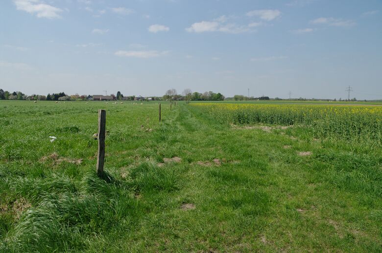 Straße-UE79 von der Frielinghauser Straße aus