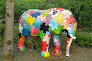 Elefant 2009 6.jpg