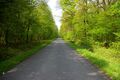 Saalkampweg Nähe Stadtgrenze