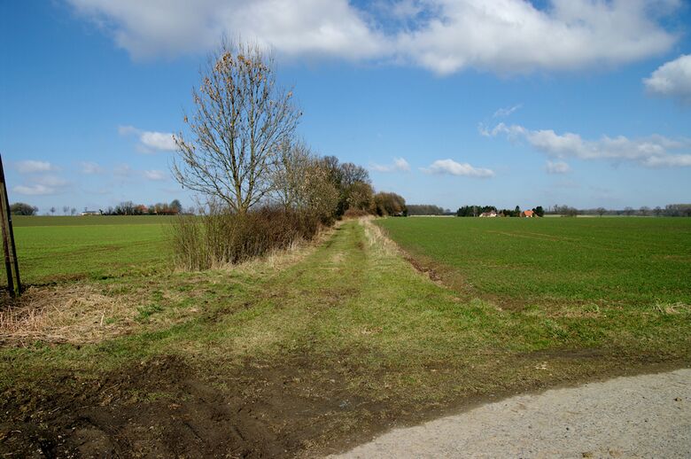 Straße-RH60 vom Kettermannweg aus