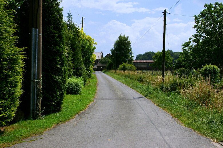 Brauck vom Heitkampweg aus