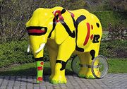 Elefant 28.jpg