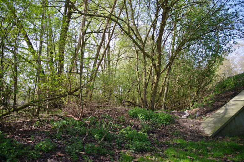 Weg-BH-a03 vom Markenweg aus