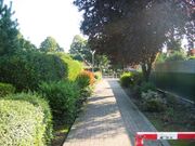 Strassenbild Arthur Schauerte Weg.jpg