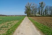 Strasse RH113 03.jpg