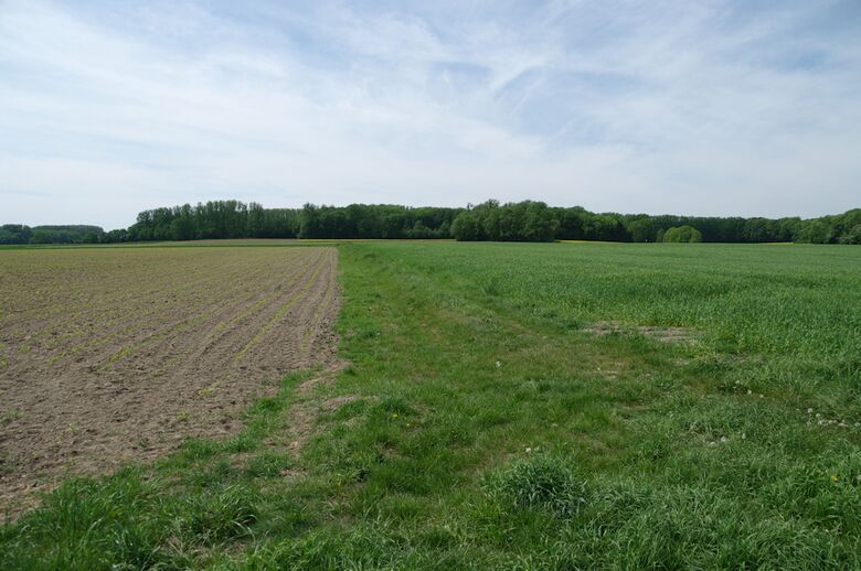 Straße-RH119 von der Straße-RH152 aus