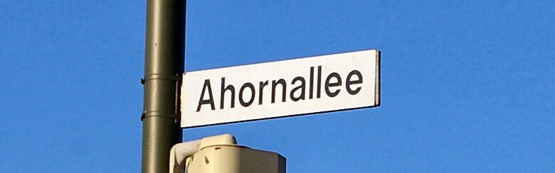 Straßenschild Ahornallee