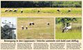 Westfälischer Anzeiger, 27.07.2012