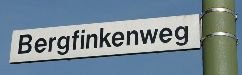 Straßenschild Bergfinkenweg