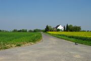 Natteweg01.jpg