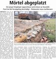 Westfälischer Anzeiger, 19. Februar 2009