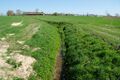 Südbecke am Worthweg nach Osten