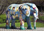 Elefant 12.jpg